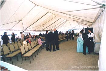 toldomas010