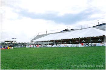 toldomas015