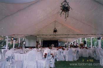 toldomas036