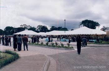 toldomas044