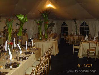 toldomas053