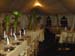 toldomas053